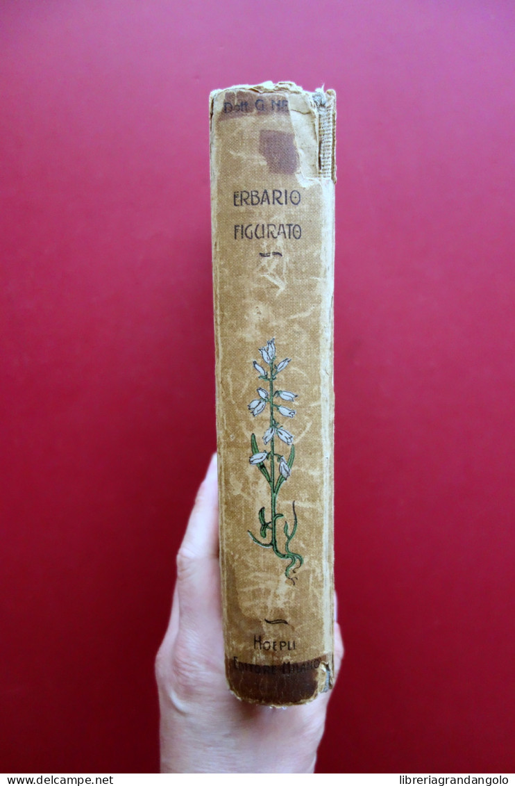 Erbario Figurato Con Riguardo Alle Piante Medicinali Hoepli Milano 1923 2° Ediz. - Ohne Zuordnung