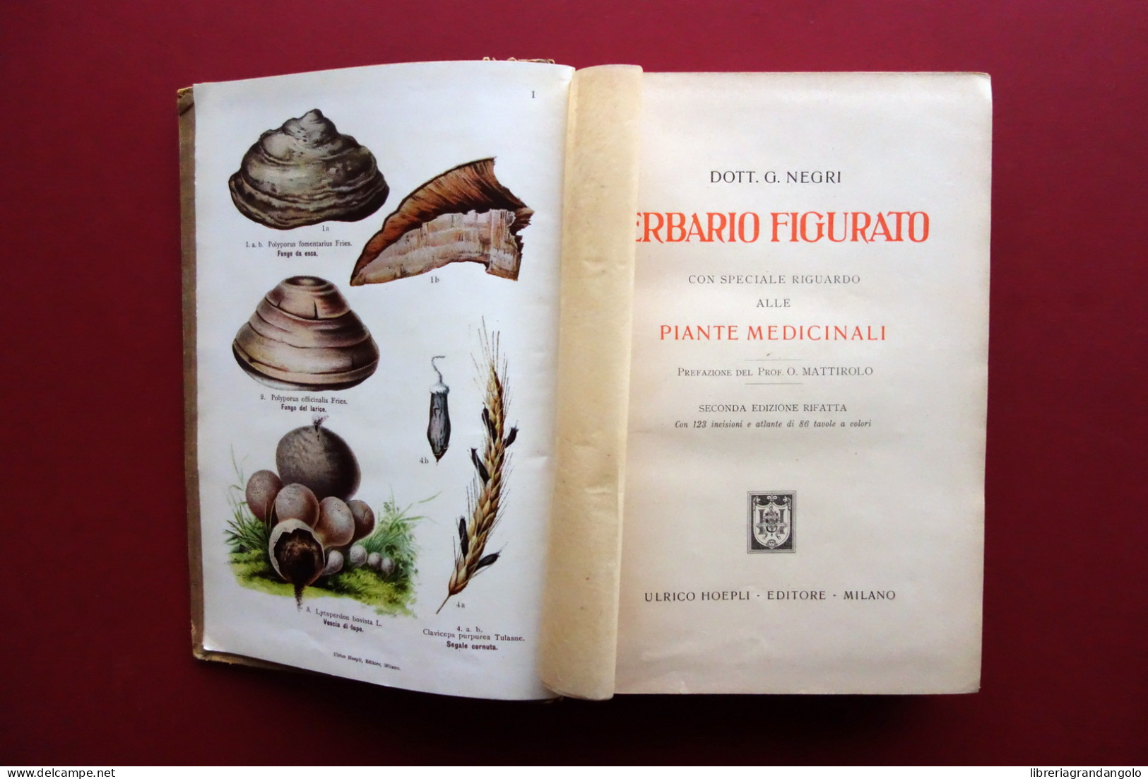 Erbario Figurato Con Riguardo Alle Piante Medicinali Hoepli Milano 1923 2° Ediz. - Ohne Zuordnung