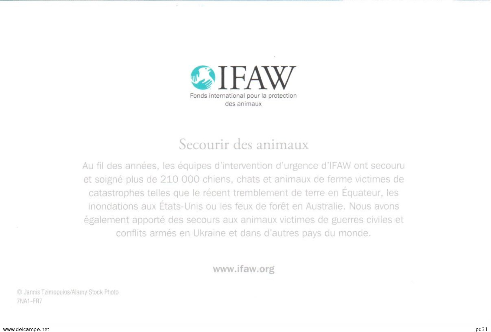 Carte Double IFAW Secourir Des Animaux - Chien Et Chat - Ref 7NA1-FR7 - Andere & Zonder Classificatie