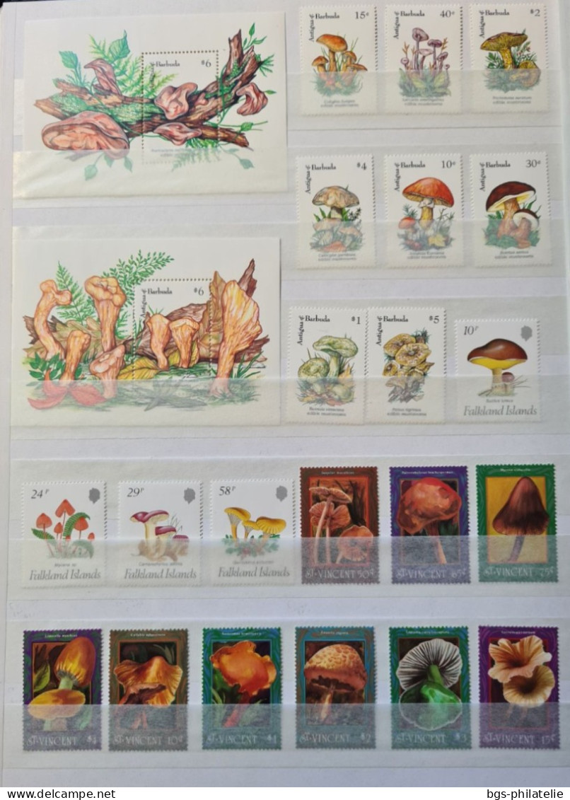 Collection De Timbres Sur Le Thème Des Champignons. - Collections (sans Albums)