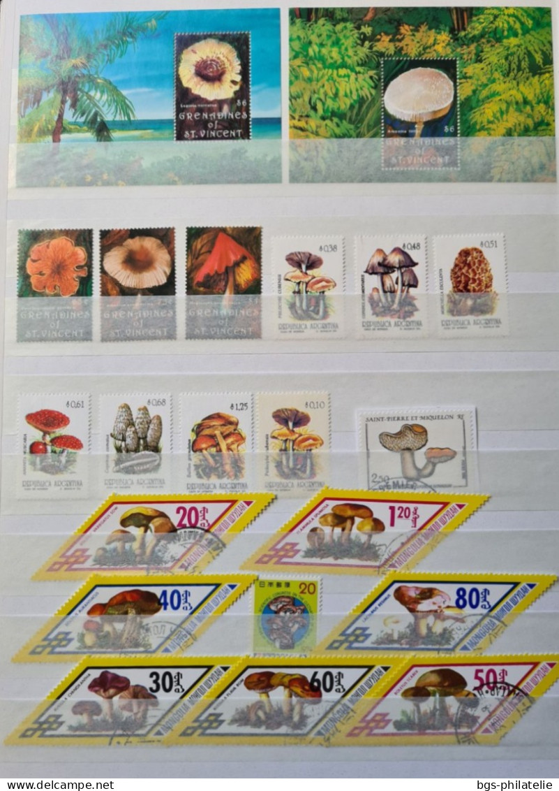 Collection De Timbres Sur Le Thème Des Champignons. - Collezioni (senza Album)