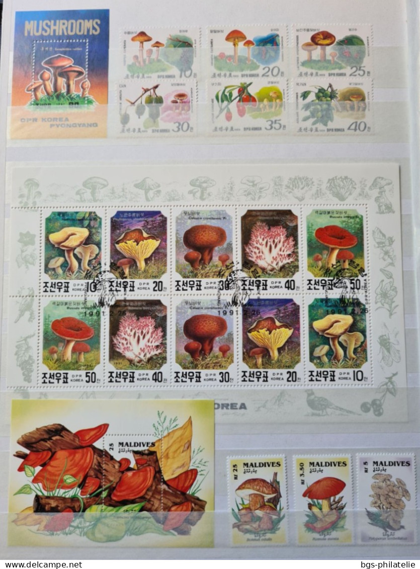 Collection de timbres sur le thème des Champignons.