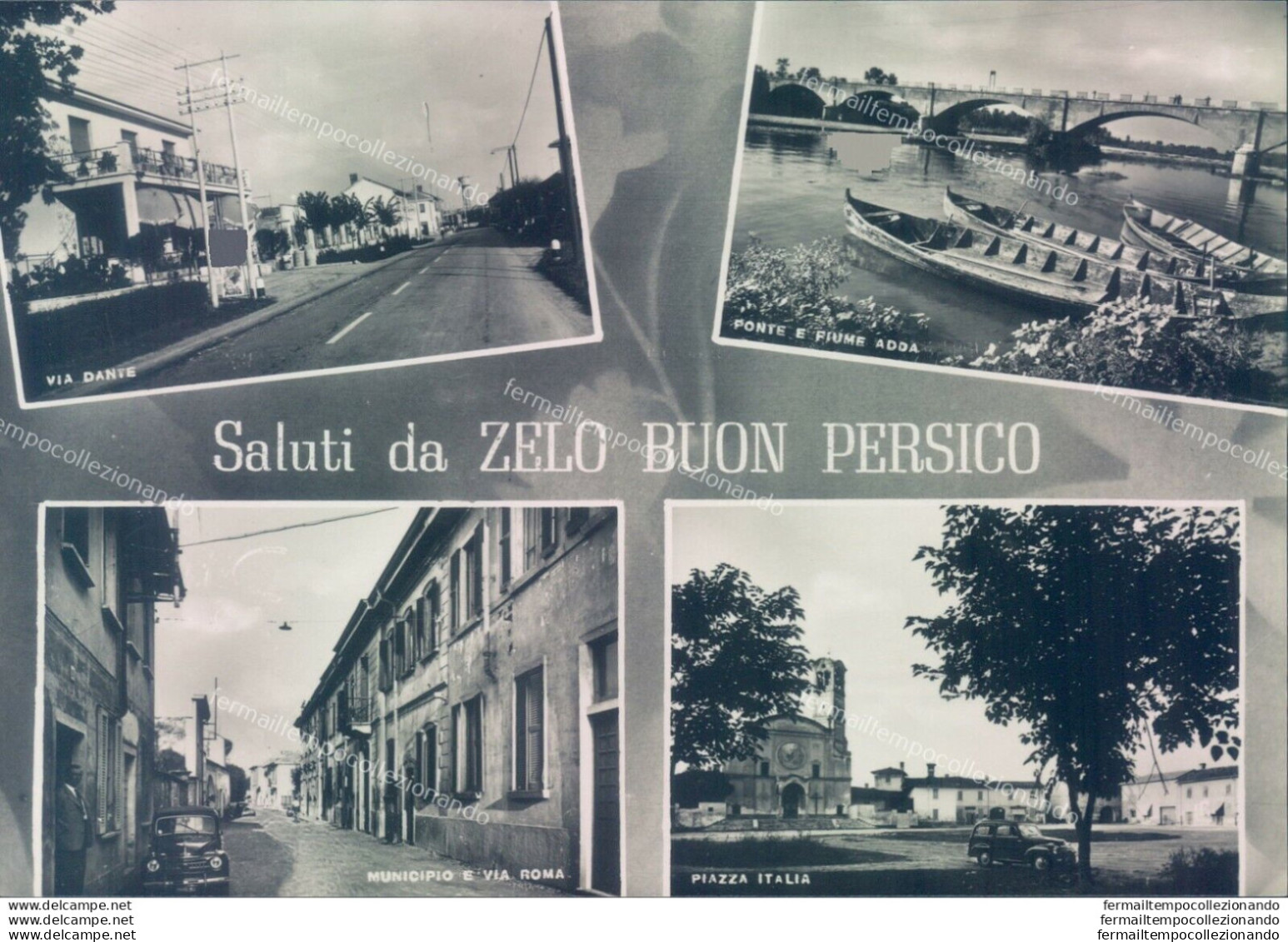 N647 Cartolina Saluti Da Zelo Buon Persico Provincia Di Lodi - Lodi