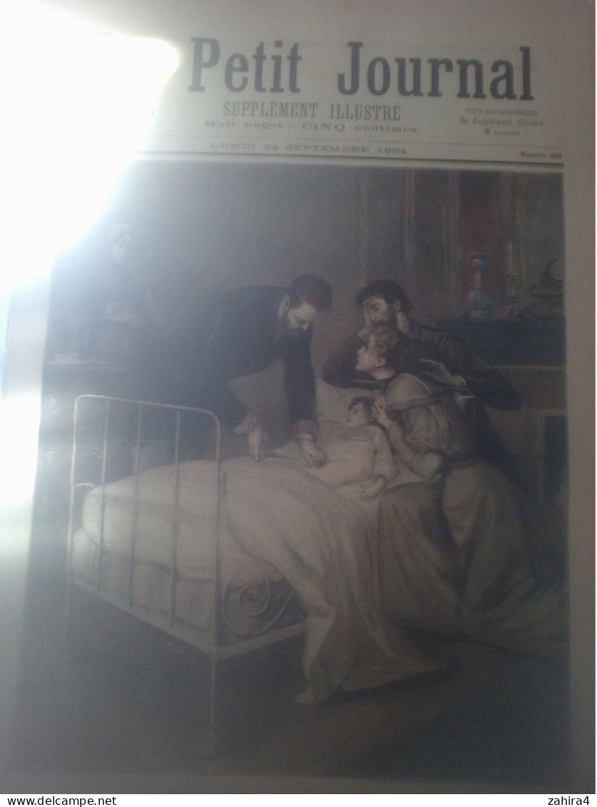 Le Petit Journal N°201 Croup Guéri Par Le Docteur Roux Mort De Bara De Wert Musée Luxembourg Partition G Lemoine L Puget - Magazines - Before 1900
