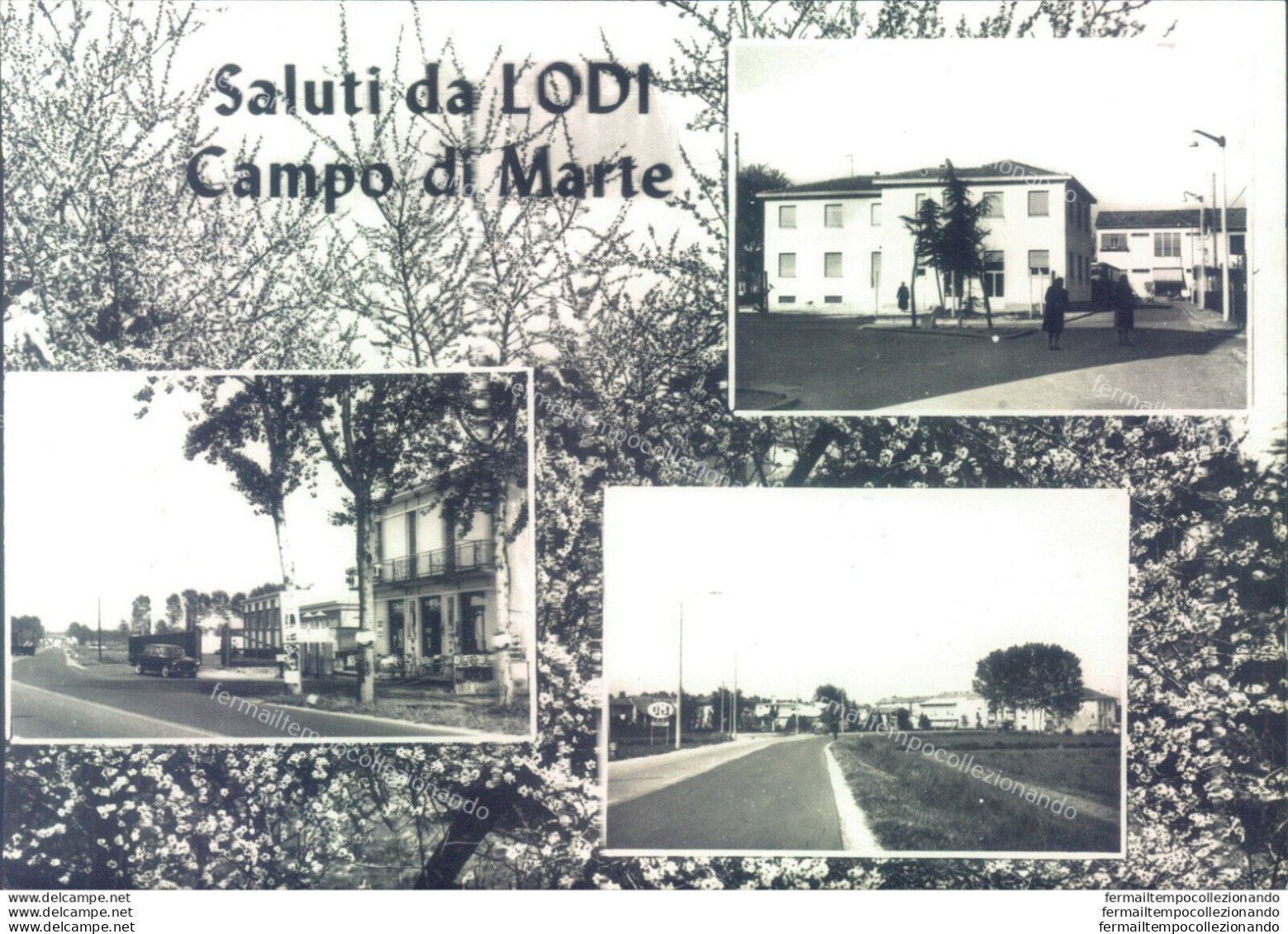 N572 Cartolina Saluti Da Lodi Campo Di Marte - Lodi