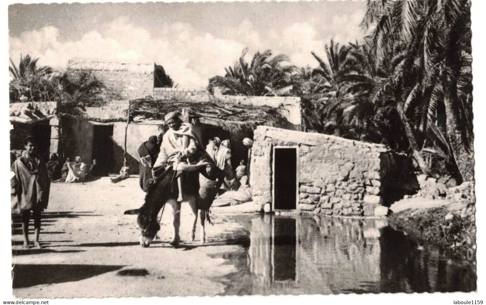 SCENES ET TYPES  AFRIQUE DU NORD MAGHREB : GOURBIS DANS L'OASIS - VERITABLE PHOTO BROMURE JOMONE - Scenes