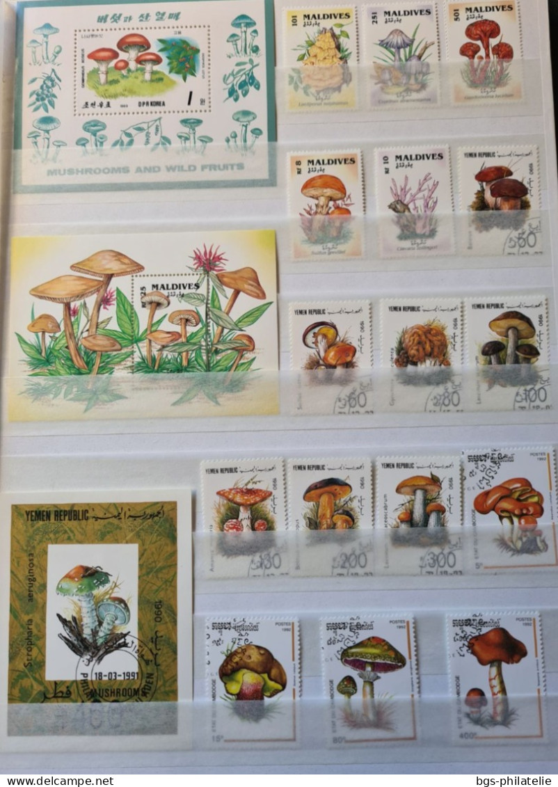 Collection De Timbres Sur Le Thème Des Champignons. - Colecciones (sin álbumes)