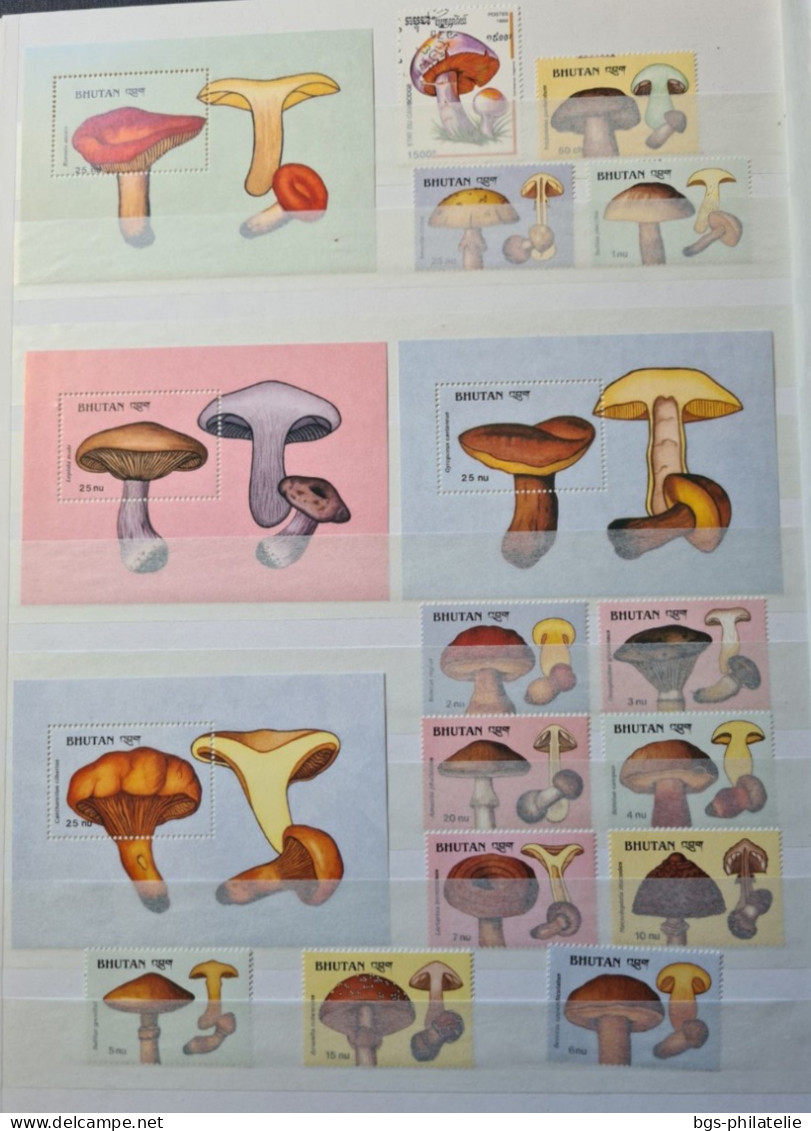 Collection De Timbres Sur Le Thème Des Champignons. - Sammlungen (ohne Album)