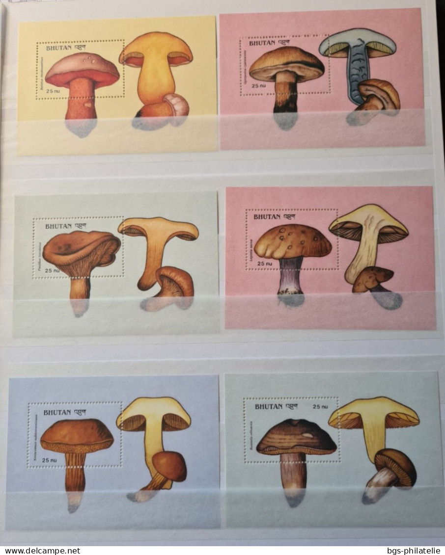 Collection De Timbres Sur Le Thème Des Champignons. - Collections (without Album)