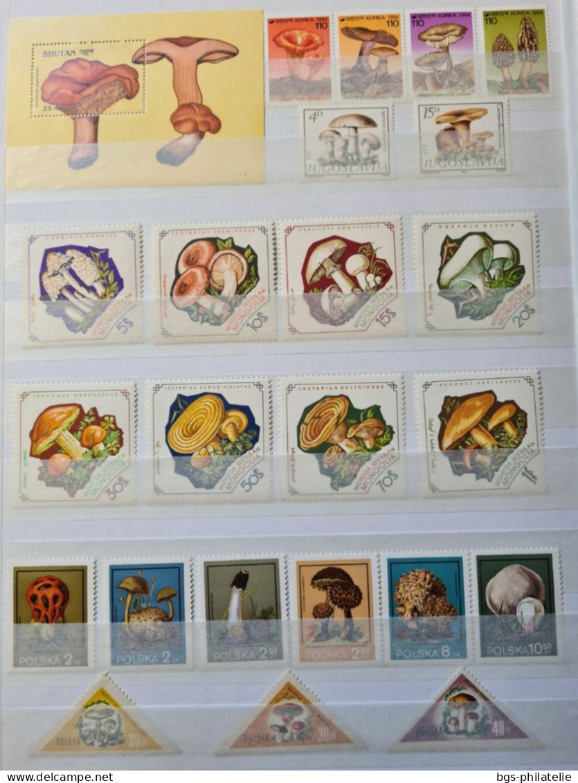 Collection De Timbres Sur Le Thème Des Champignons. - Collezioni (senza Album)