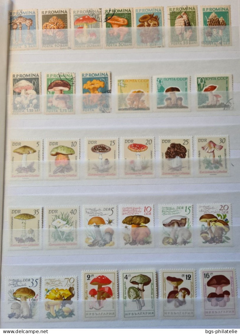 Collection De Timbres Sur Le Thème Des Champignons. - Collezioni (senza Album)