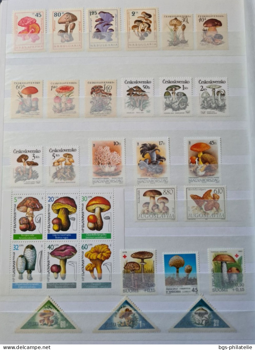 Collection de timbres sur le thème des Champignons.