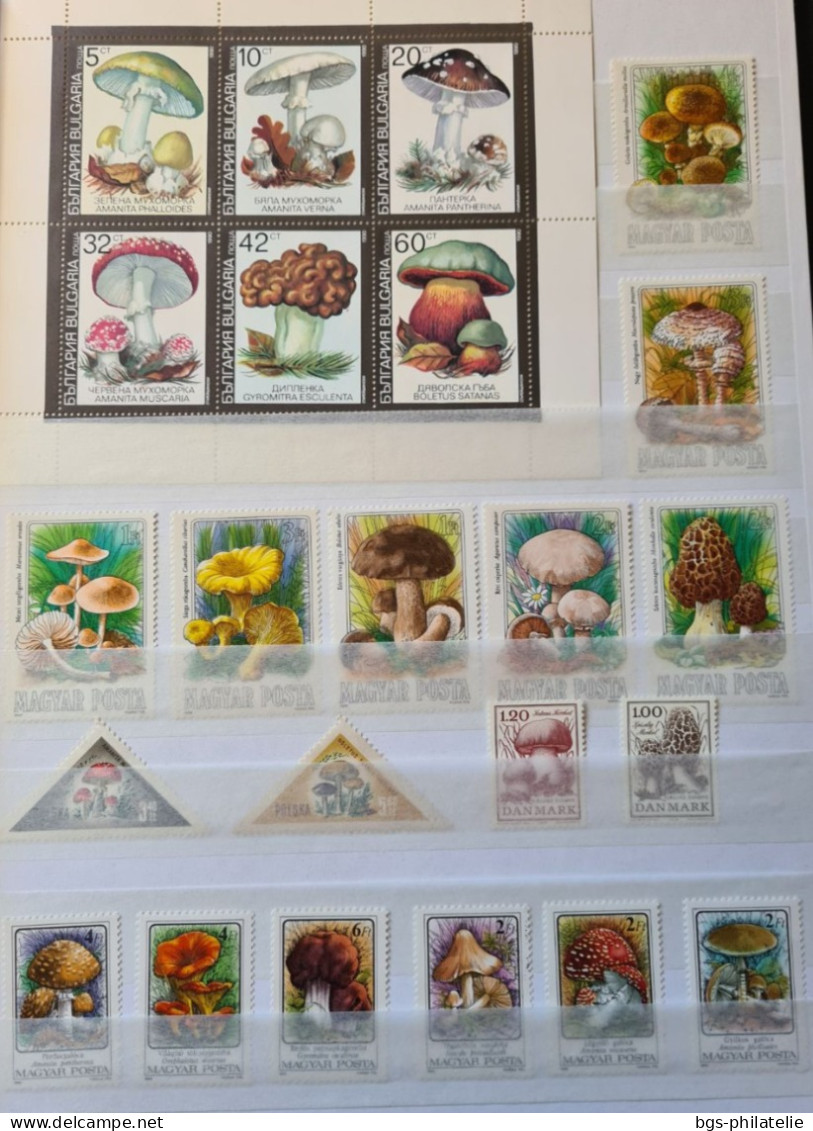 Collection de timbres sur le thème des Champignons.