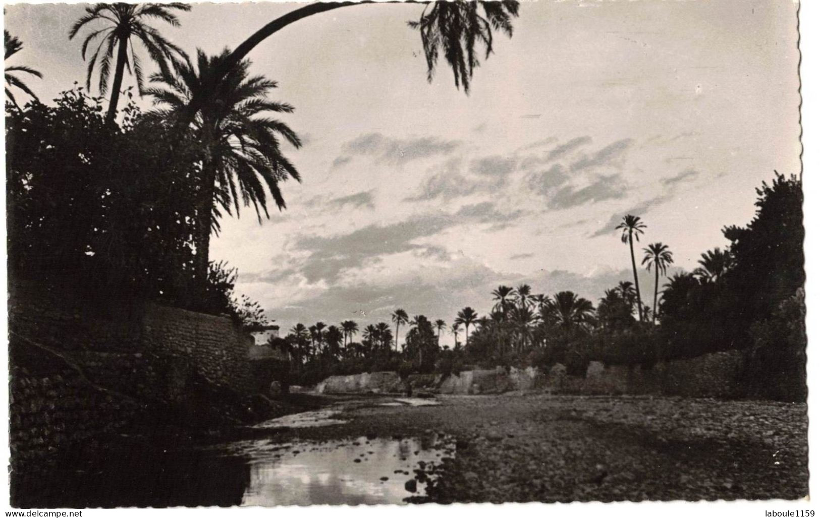 SCENES ET TYPES  AFRIQUE DU NORD MAGHREB : L'OUED DANS LA PALMERAIE - VERITABLE PHOTO BROMURE JOMONE - Scene & Tipi