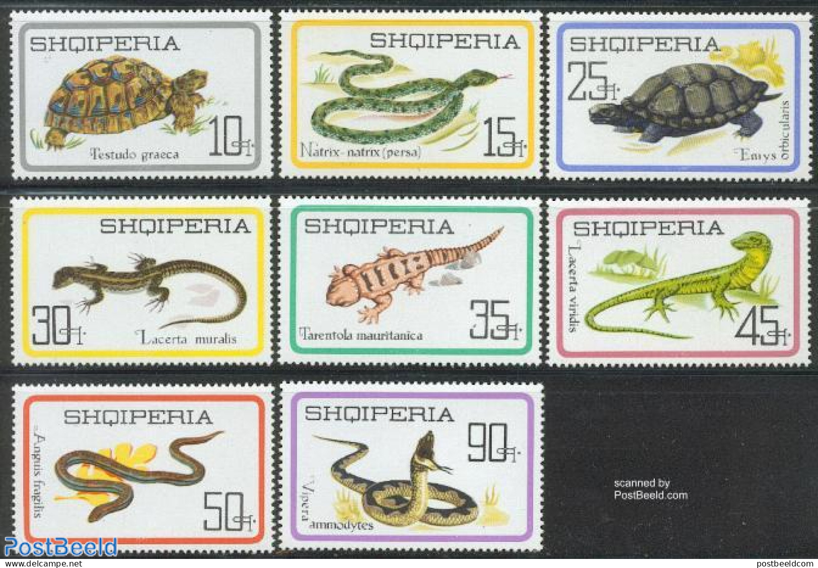 Albania 1966 Reptiles 8v, Mint NH, Nature - Reptiles - Snakes - Turtles - Albania