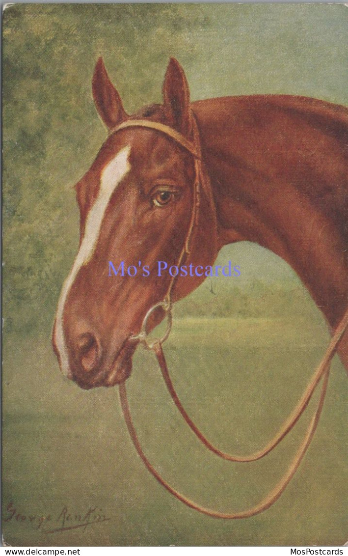 Animals Postcard -Horse. Artist George Rankin  DZ104 - Caballos