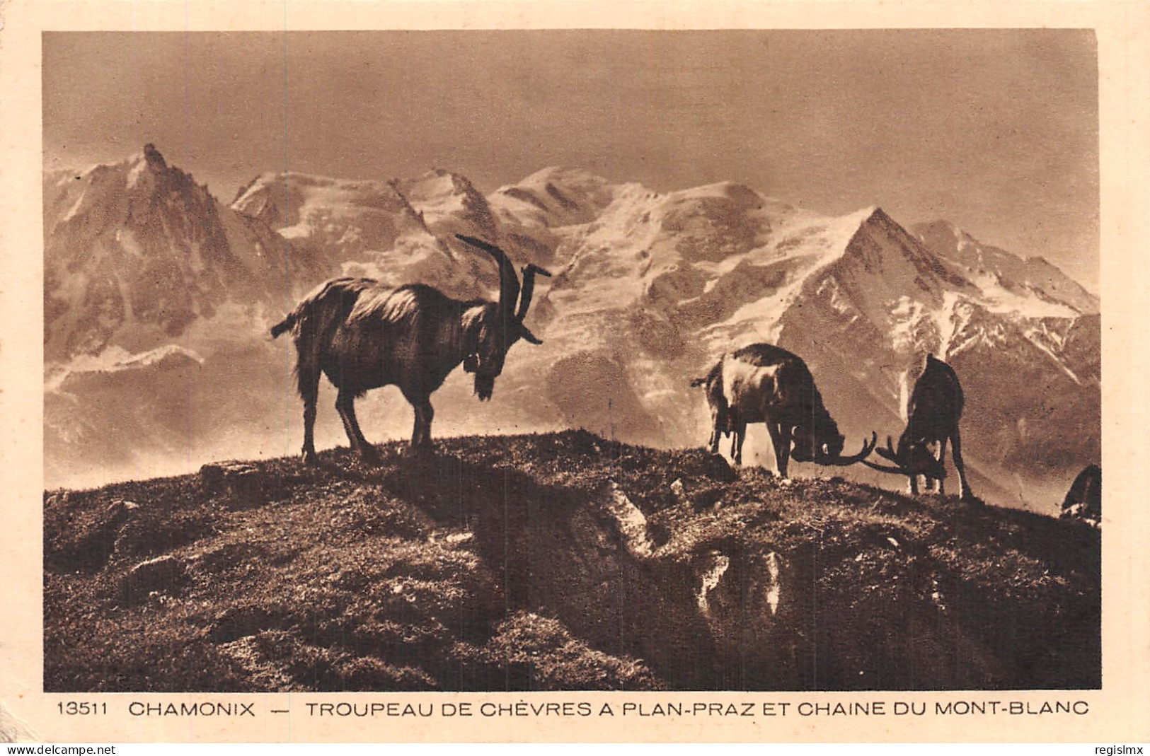 74-CHAMONIX-N°T1116-E/0323 - Chamonix-Mont-Blanc