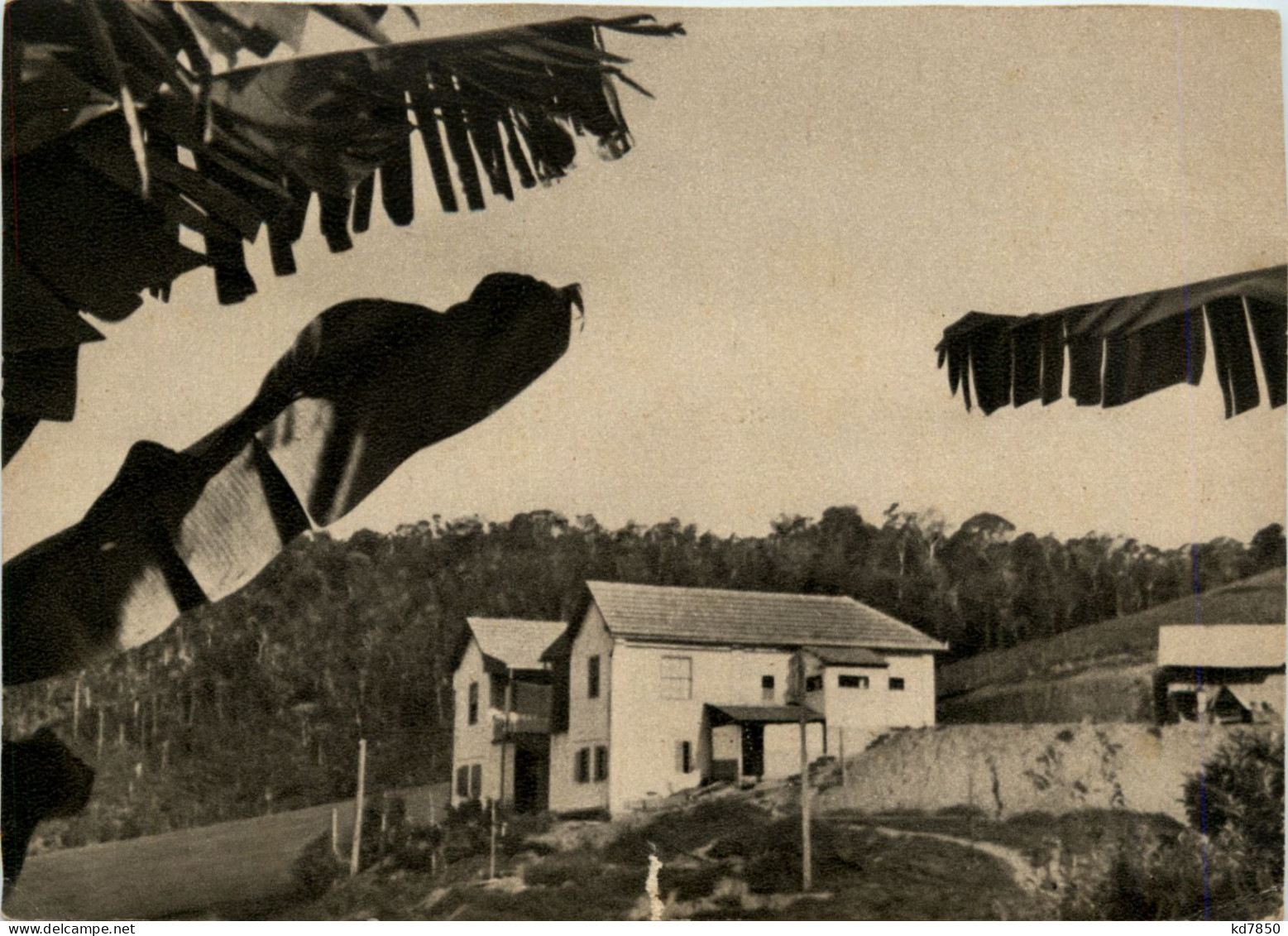 Brasilien - Deutsche Klinik Im Urwald Von Elpirito Santo - Andere & Zonder Classificatie