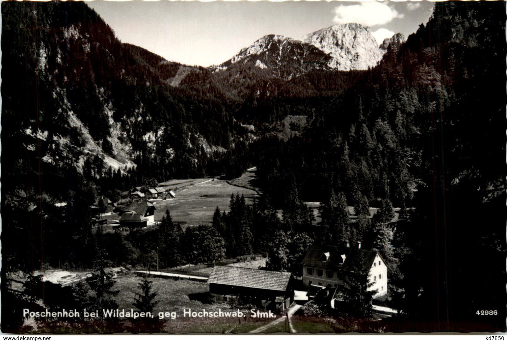 Wildalpen, Poschenhöh Gegen Hochschwab - Liezen