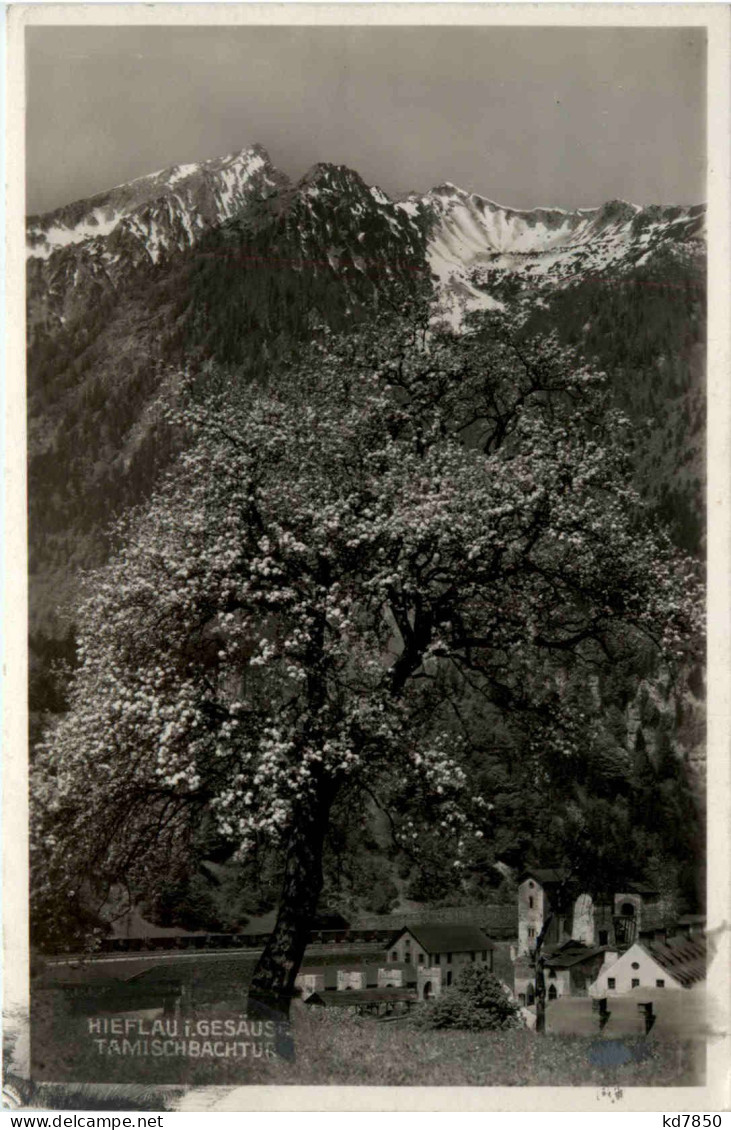 Hieflau Im Gesäuse, Tamischbachturm - Liezen