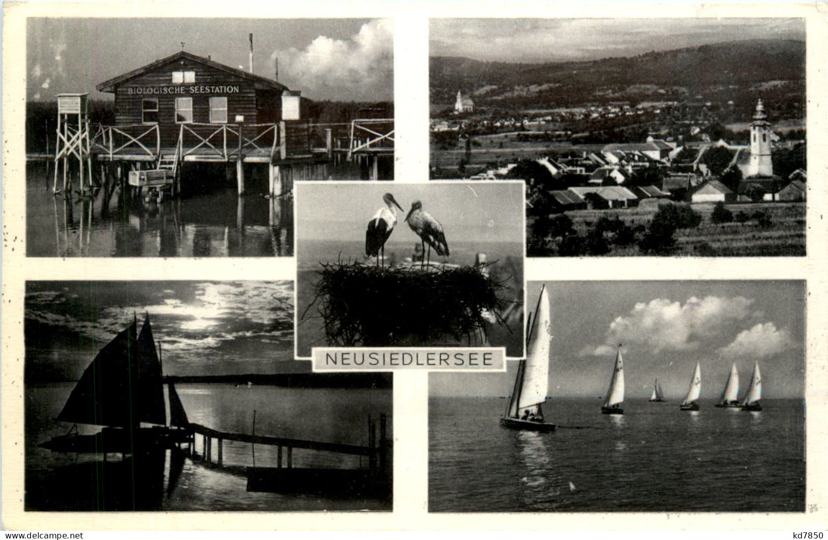 Neusiedlersee, Div.Bilder - Neusiedlerseeorte