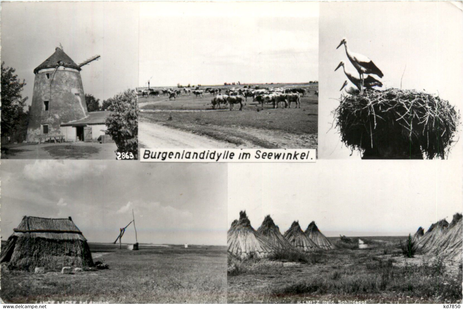 Burgenlandidylle Im Seewinkel - Neusiedlerseeorte