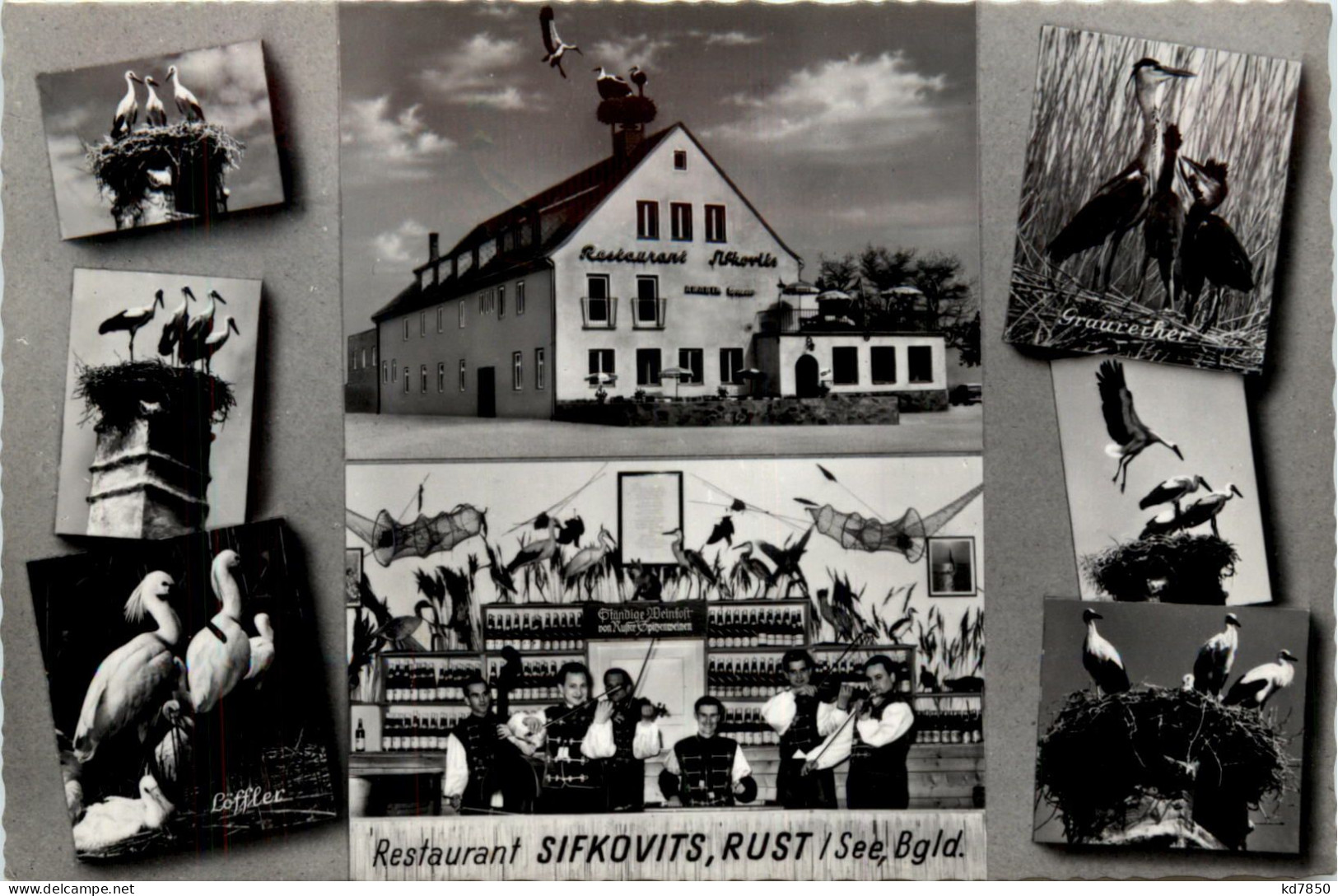 Rust Burgenland, Restaurant Sifkovits - Autres & Non Classés