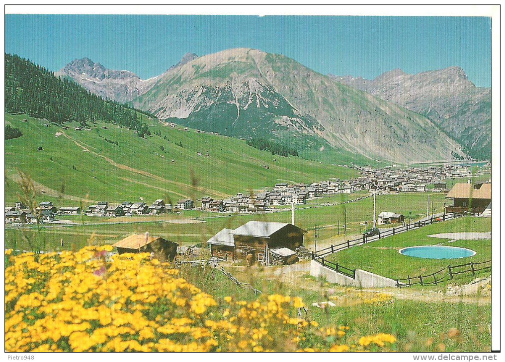 Livigno (Sondrio) Panorama Estivo, Chalet Con Piscina In Primo Piano, Summer View, Vue D'Etè - Sondrio