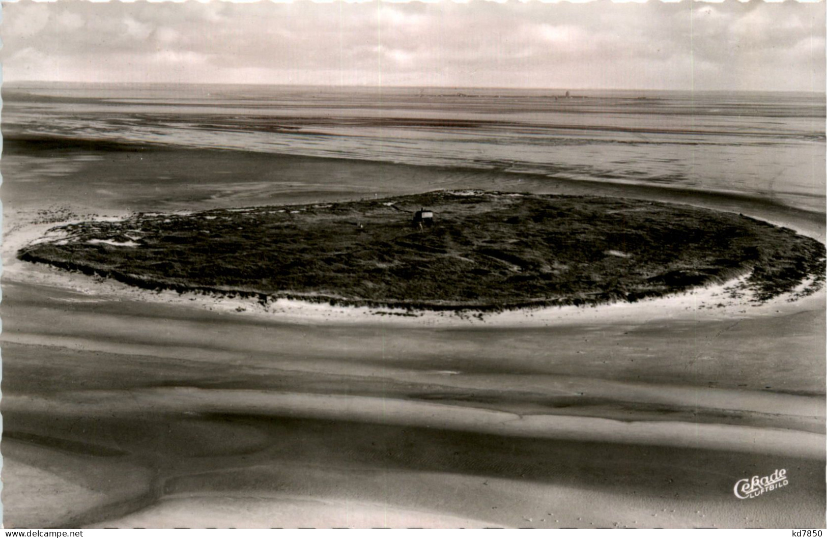 Nordsee Insel Scharhörn - Cuxhaven - Cuxhaven