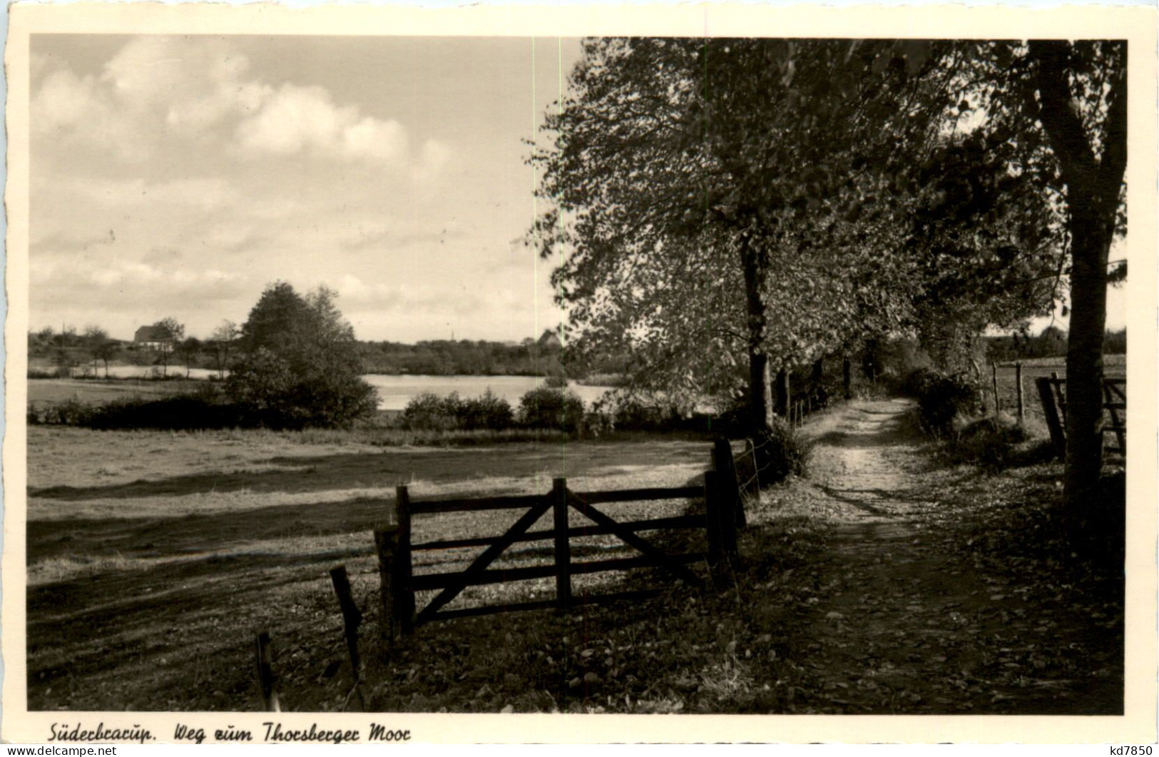 Süderbrarup - Weg Zum Thorsberger Moor - Schleswig