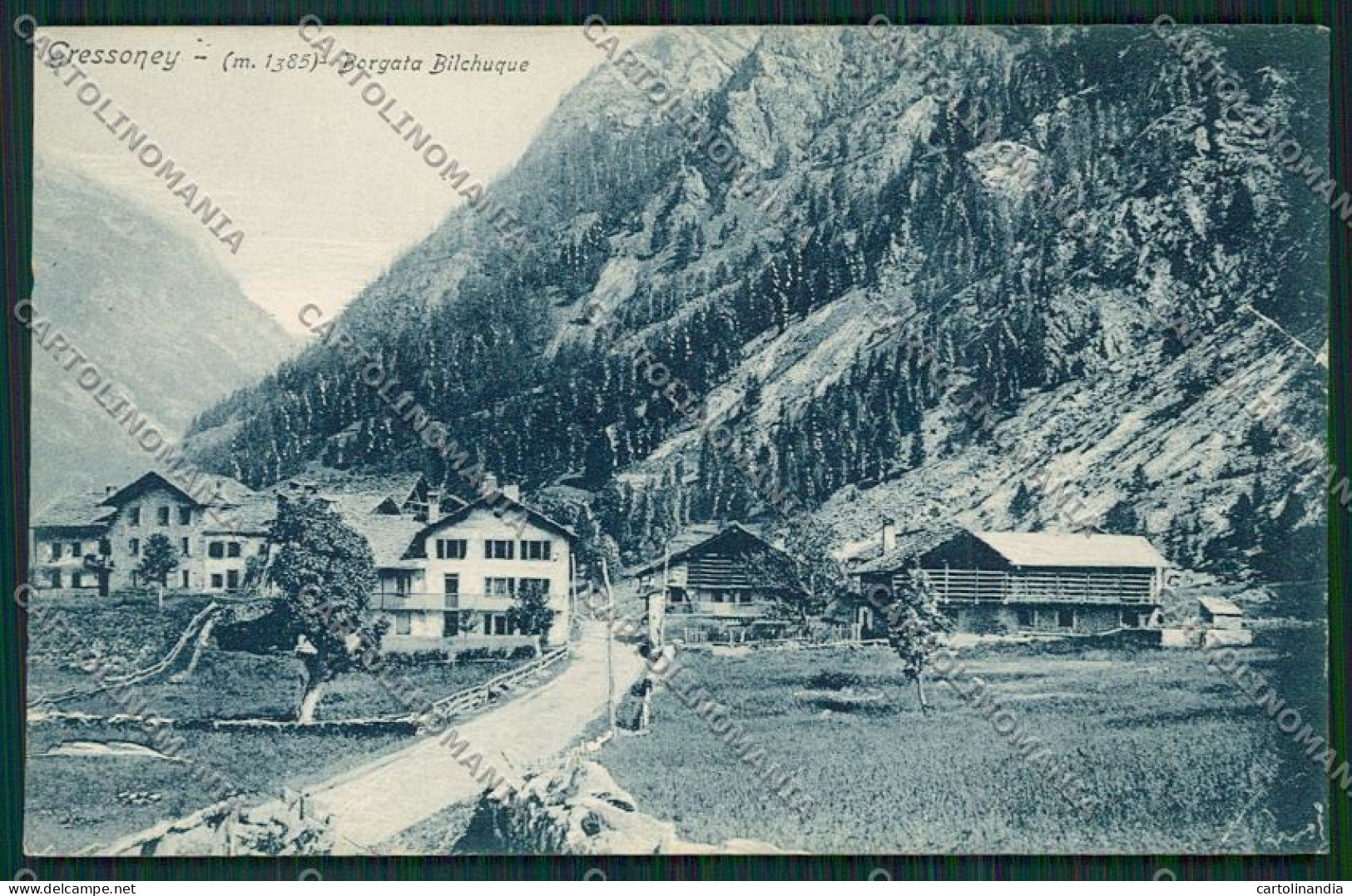 Aosta Gressoney Cartolina QQ5905 - Aosta