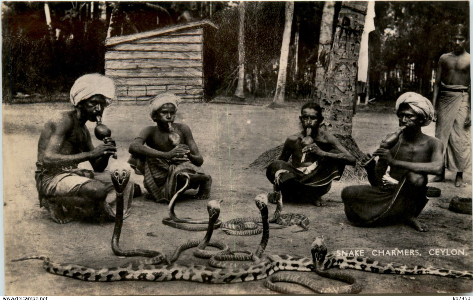 Colombo - Snake Charmers - Sri Lanka (Ceylon)