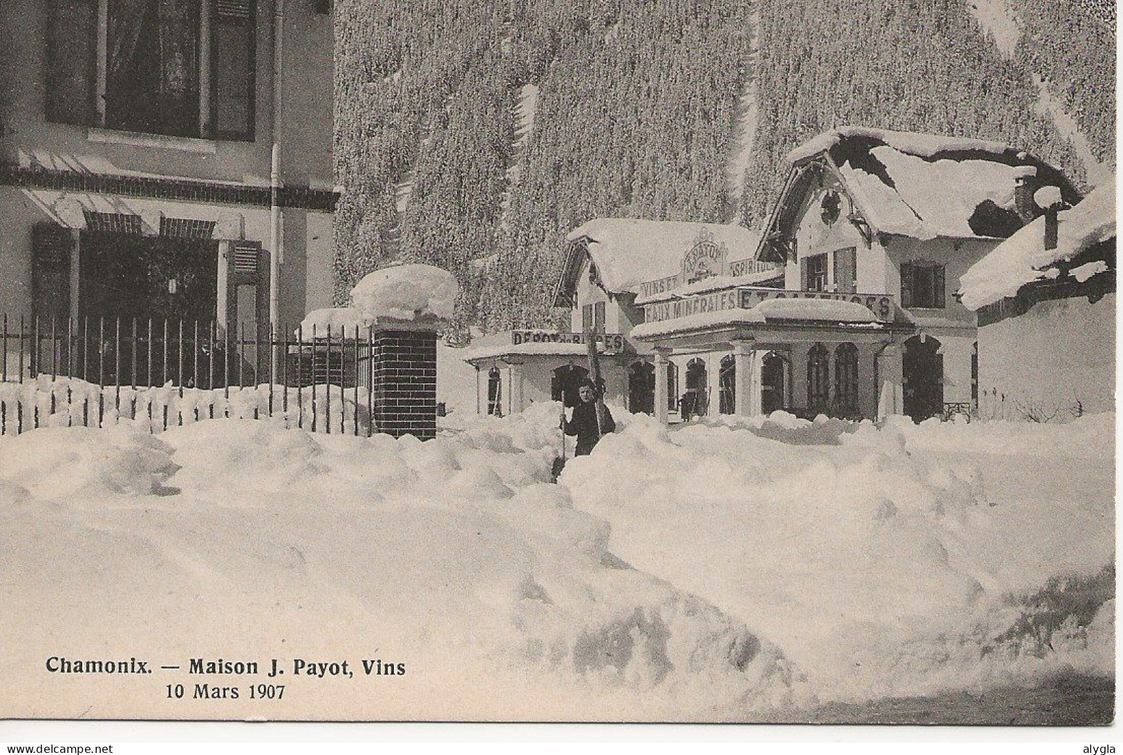 74 - CHAMONIX - Maison PAYOT Vins - Sports D'hiver En 1907 -éd. Payot Et Fils - Chamonix-Mont-Blanc