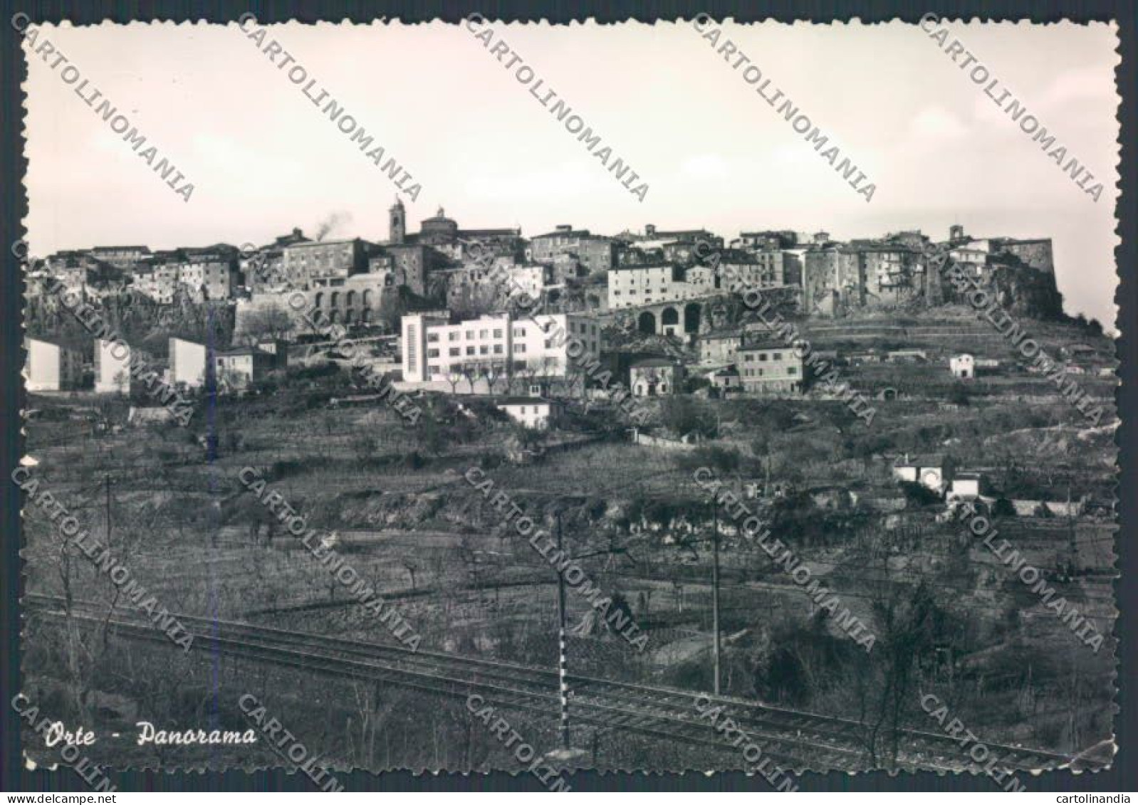 Viterbo Orte Foto FG Cartolina ZF7617 - Viterbo