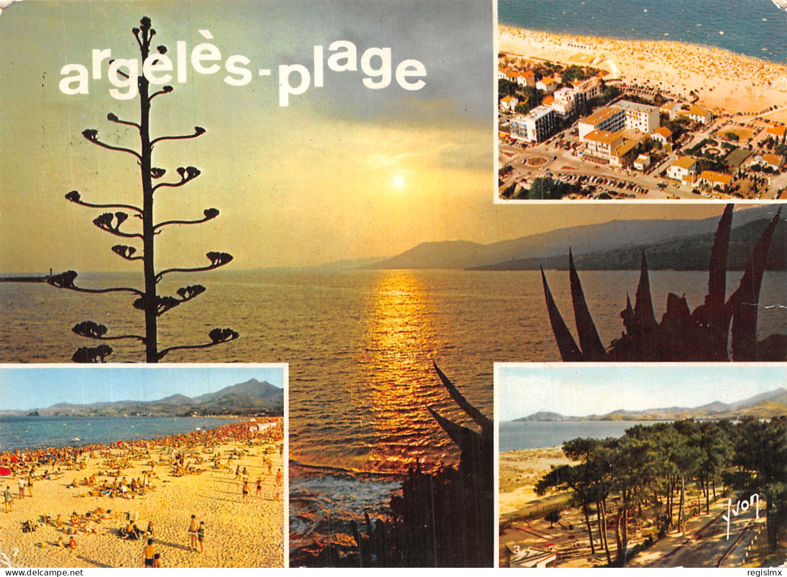 66-ARGELES PLAGE-N°T1119-A/0169 - Argeles Sur Mer