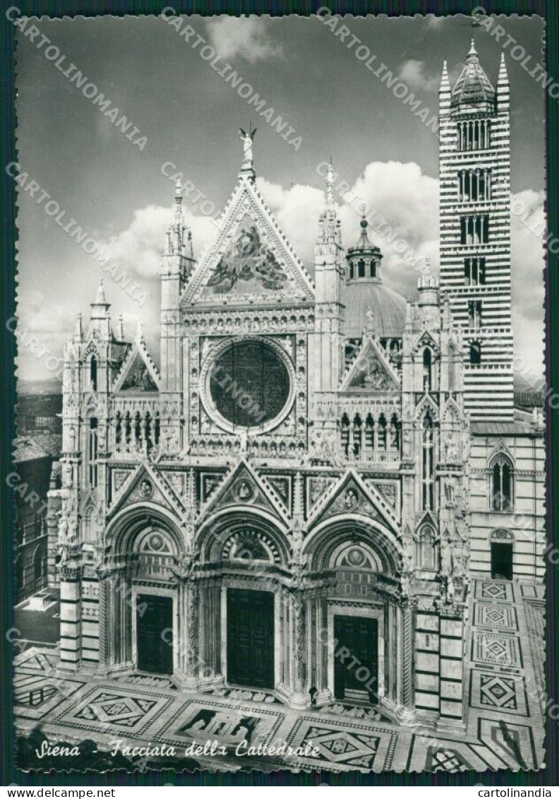 Siena Città Cattedrale FG Foto Cartolina KB5362 - Siena