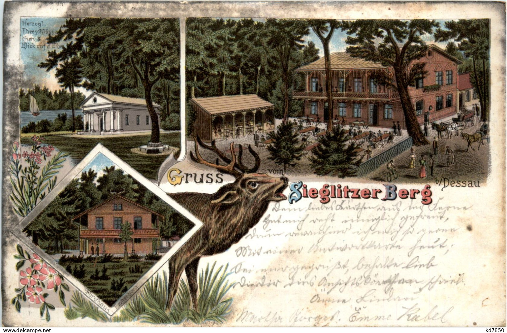 Gruss Vom Sieglitzer Berg Bei Dessau - Litho - Dessau