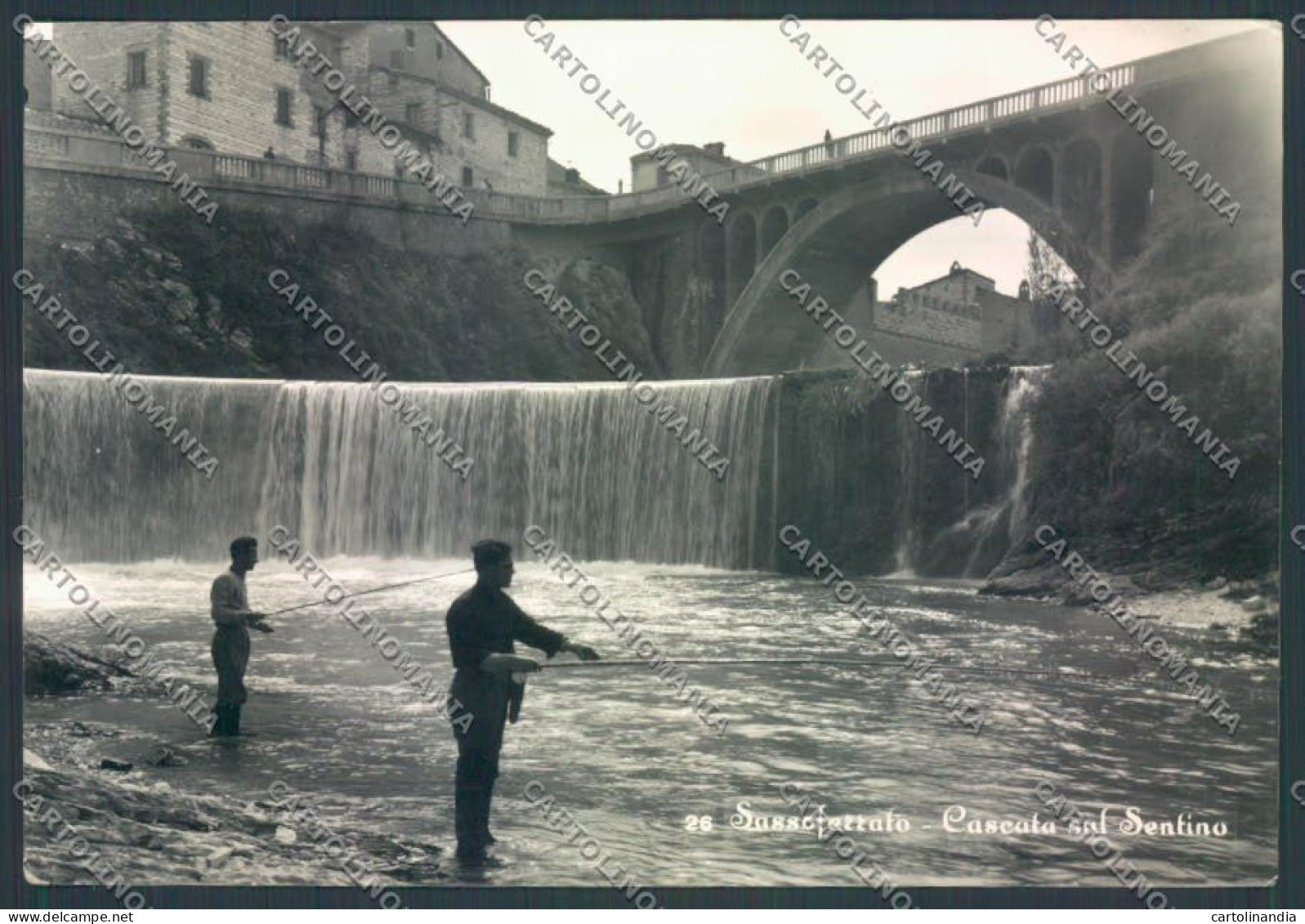 Ancona Sassoferrato Foto FG Cartolina ZF8462 - Ancona