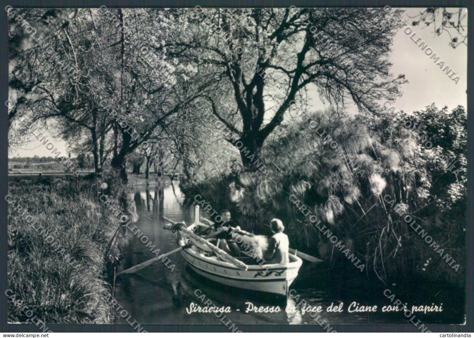 Siracusa Città Barca Foto FG Cartolina ZF8398 - Siracusa