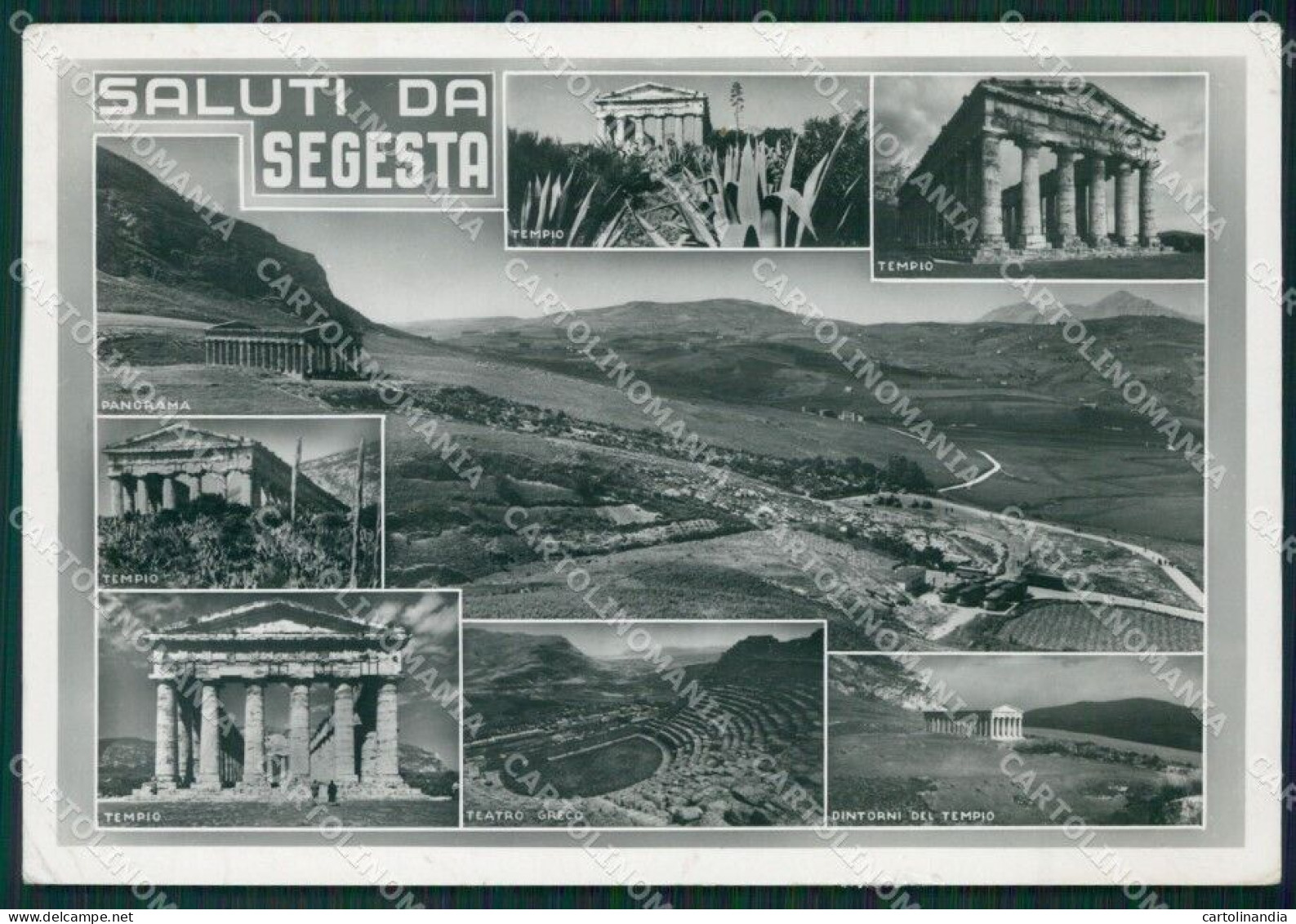 Trapani Segesta Saluti Da Foto FG Cartolina ZKM7913 - Trapani