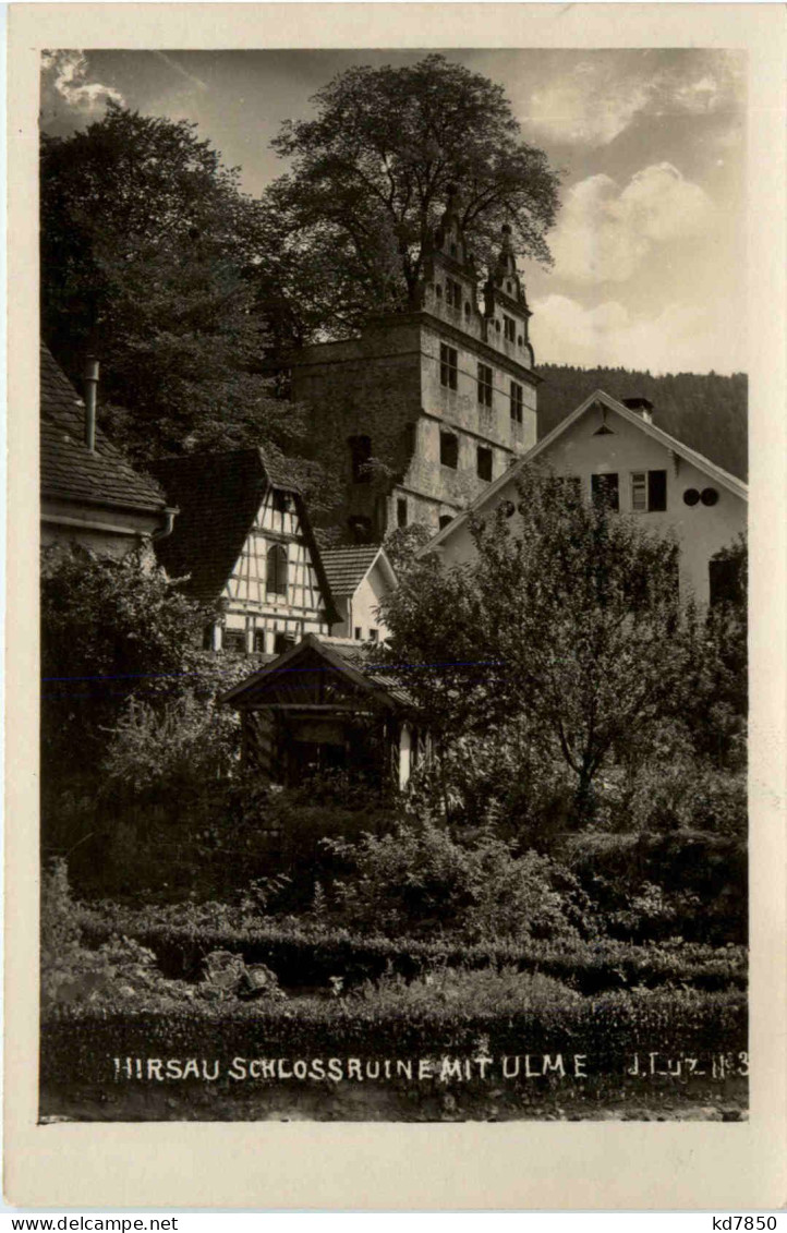 Hirsau, Schlossruine Mit Ulme - Calw