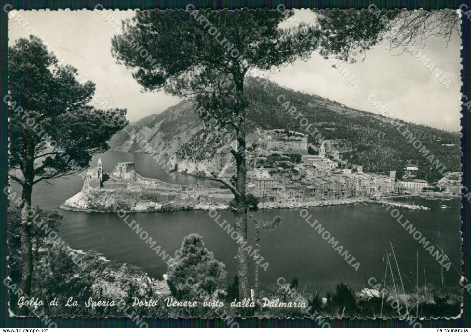 La Spezia Porto Venere Palmaria FG Foto Cartolina KB5382 - La Spezia