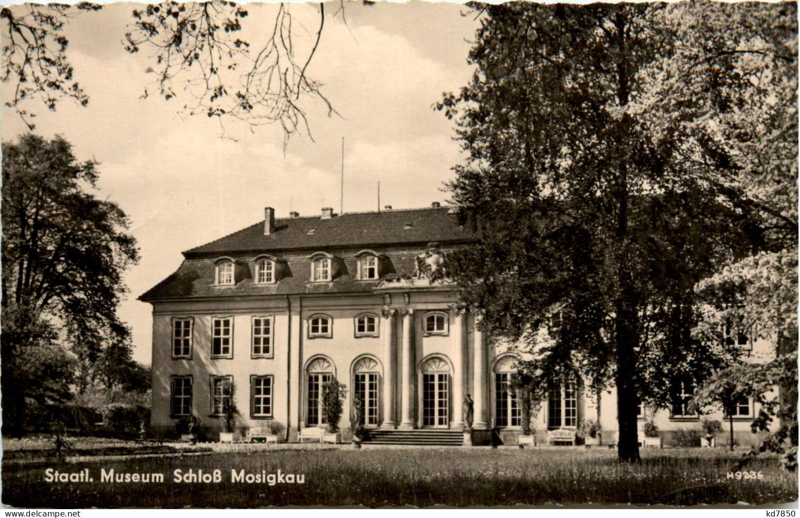 Schloss Mosigkau - Dessau - Dessau