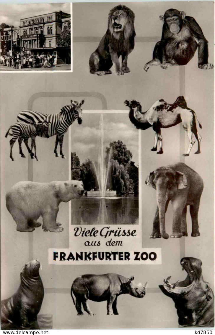 Grüsse Aus Dem Frankfurter Zoo - Frankfurt A. Main