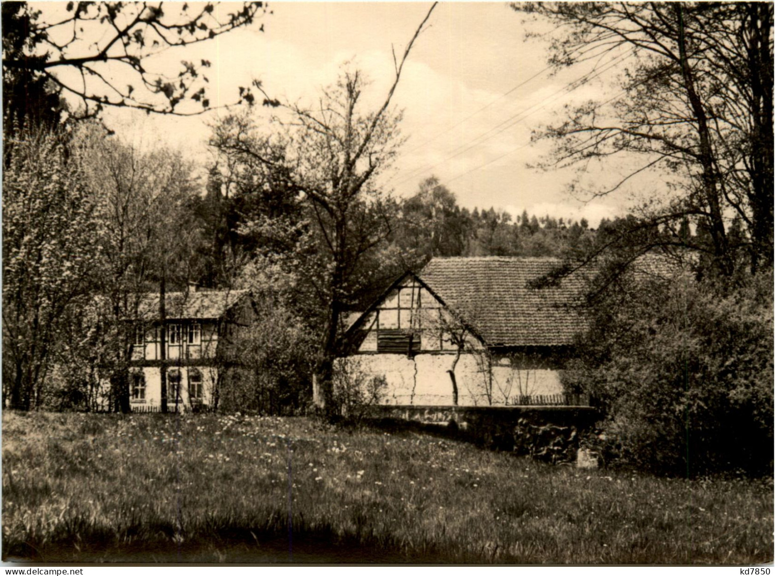 Dankerade - Markttalsmühle - Harzgerode