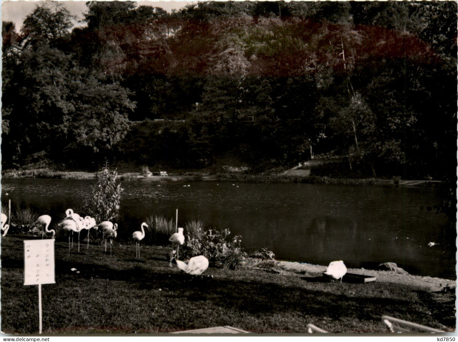 Saarbrücken, Deutschmühlenweiher - Saarbrücken