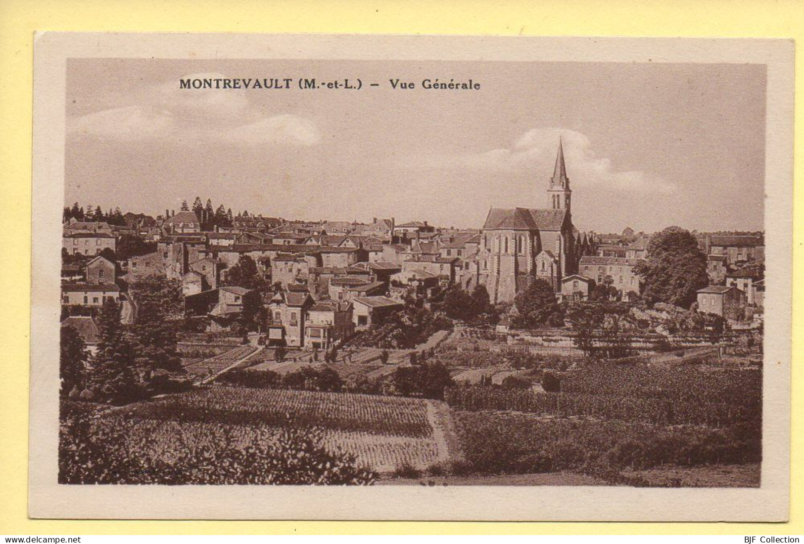 49. MONTREVAULT – Vue Générale (voir Scan Recto/verso) - Montrevault