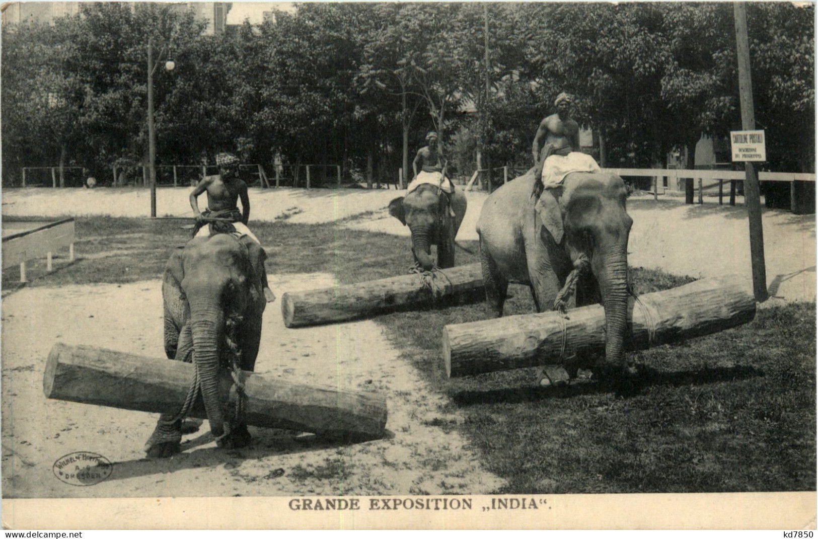 Grande Exposition India - Elefanten - India