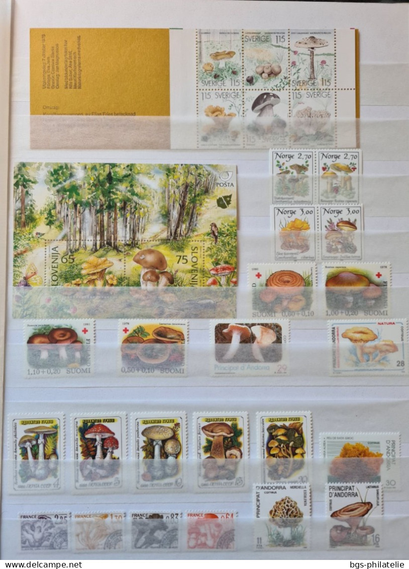 Collection De Timbres Sur Le Thème Des Champignons. - Colecciones (sin álbumes)