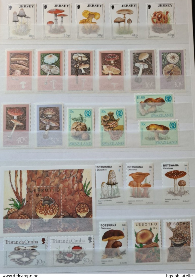 Collection De Timbres Sur Le Thème Des Champignons. - Collezioni (senza Album)